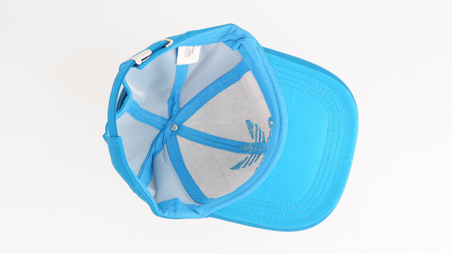Adidas Blue Cap